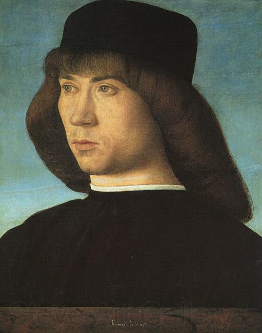 BELLINI, Giovanni Portrait of a Young Man 3iti